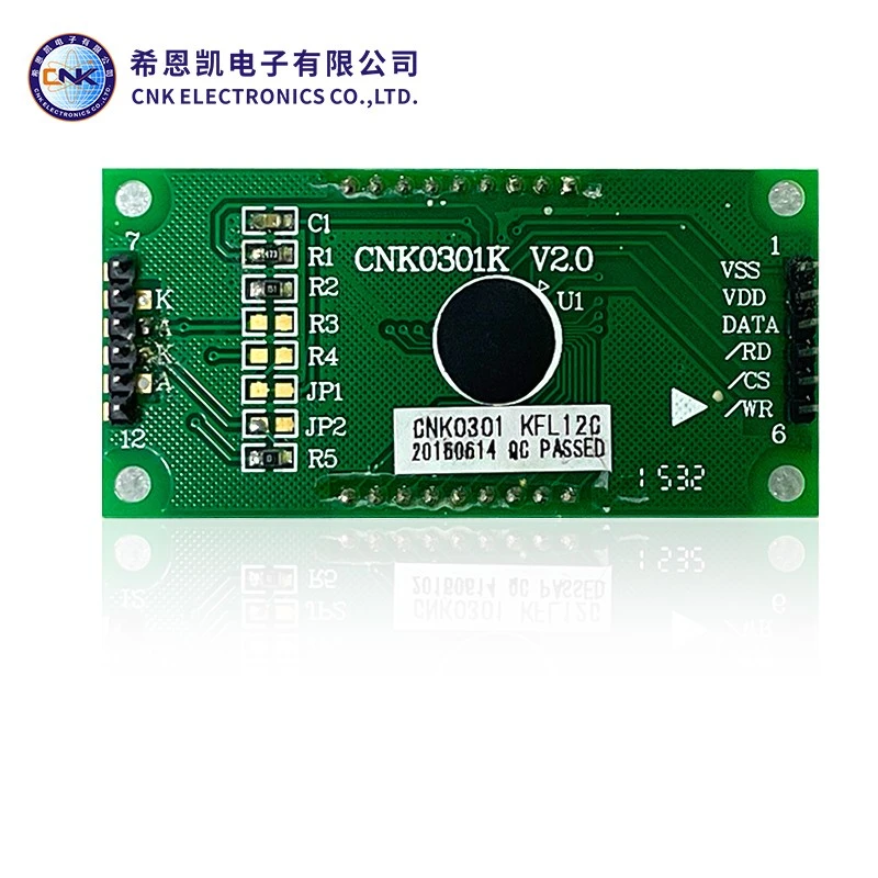 Display LCD do segmento do tipo FSTN