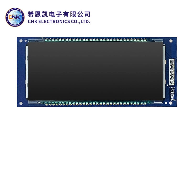Exibição de LCD do segmento monocromático