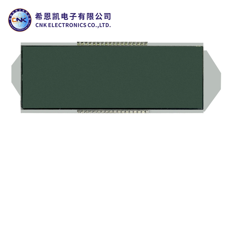 Vatn monocromático LCD Display